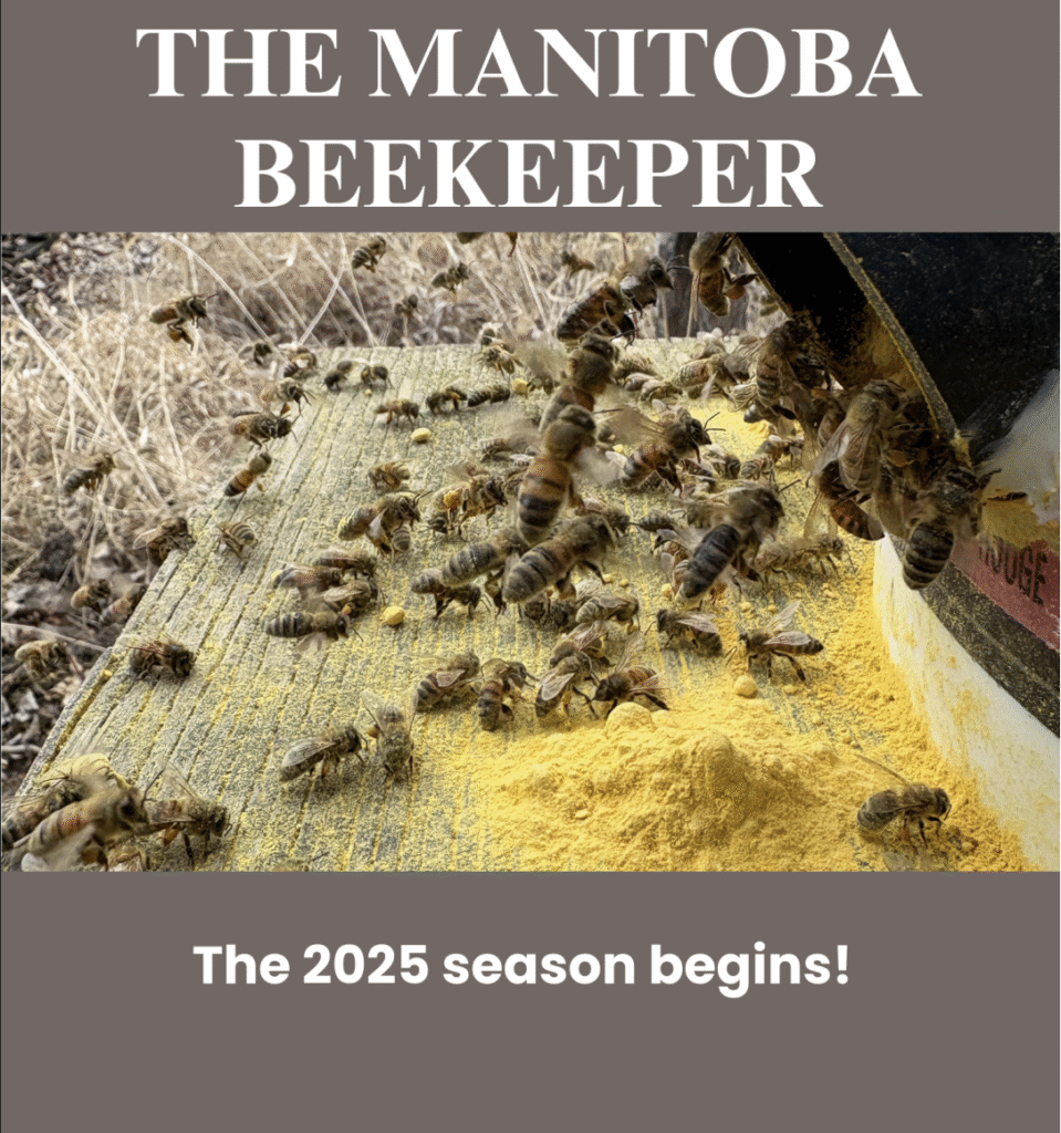 MBA Spring 2025 Newsletter