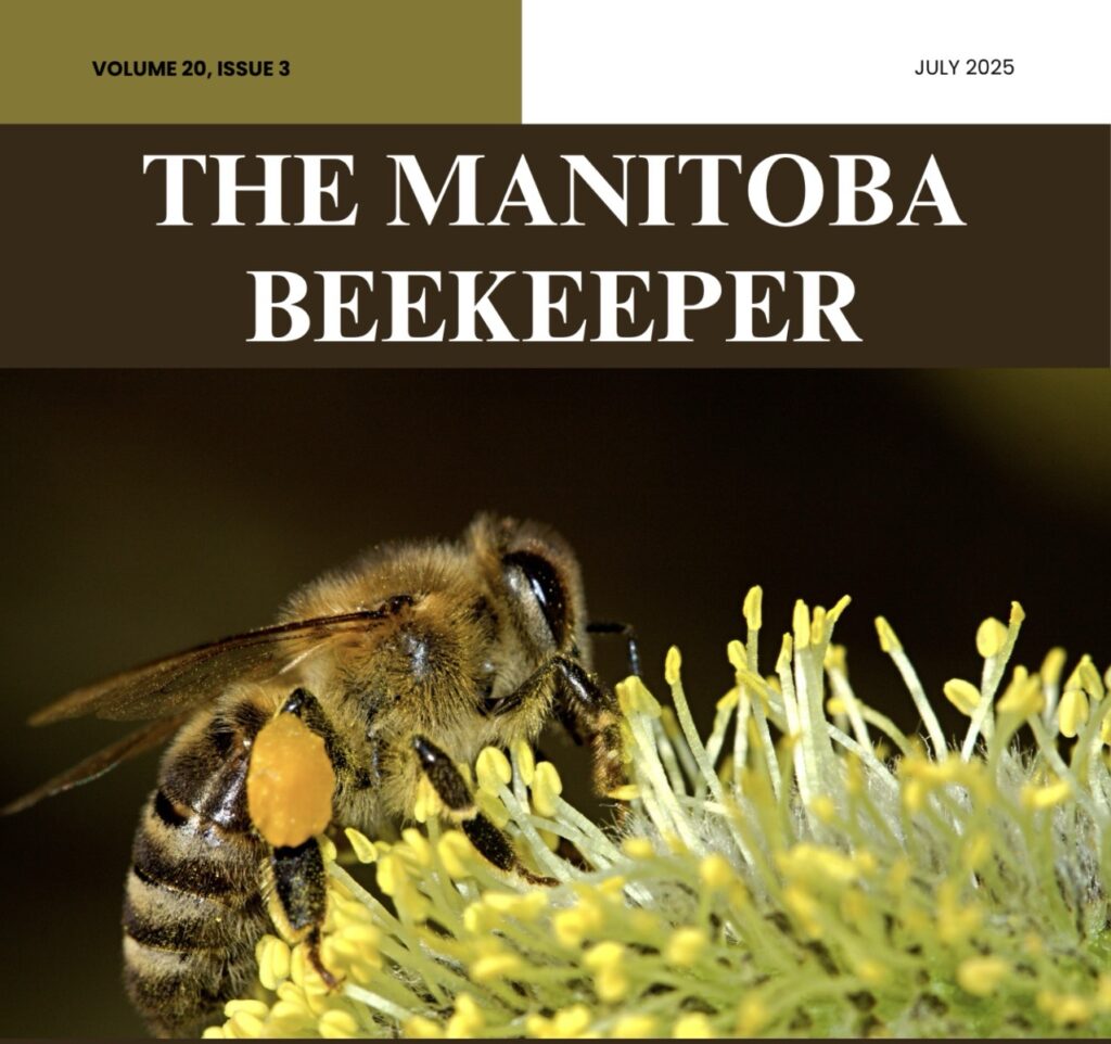 MBA summer 2025 newsletter